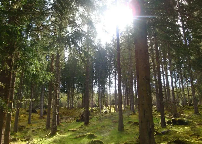 Woodland Lodge