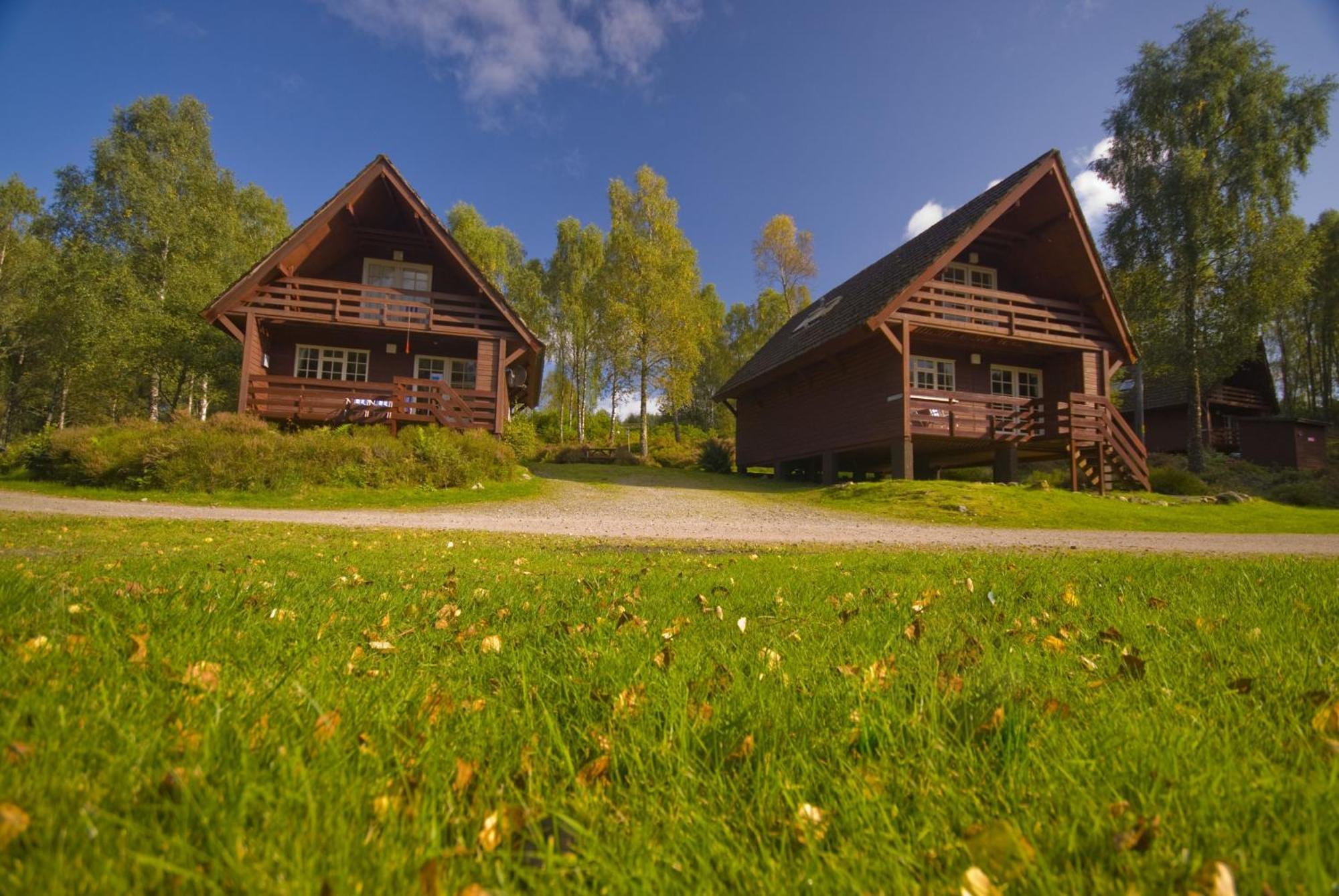 Woodland * Tomich